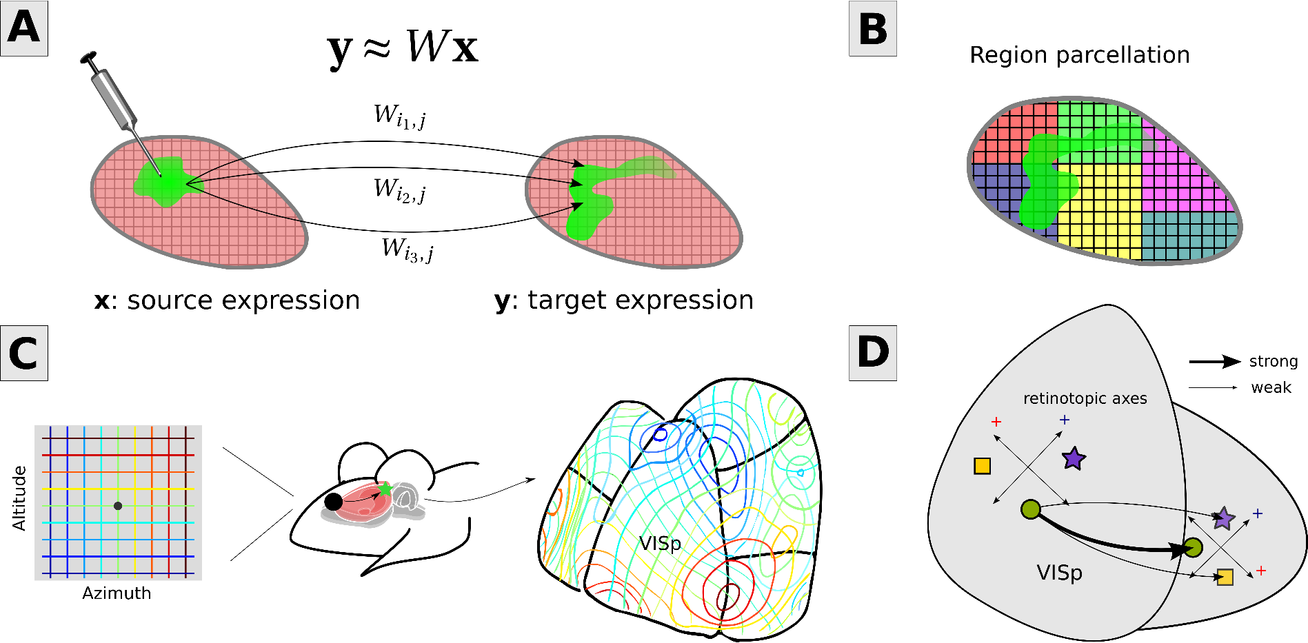 A schematic of mesoscale connectivity inference